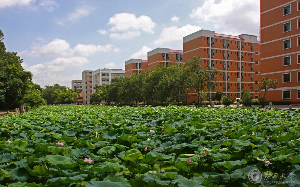 廣西大學培訓基地